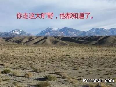 点击浏览下一页